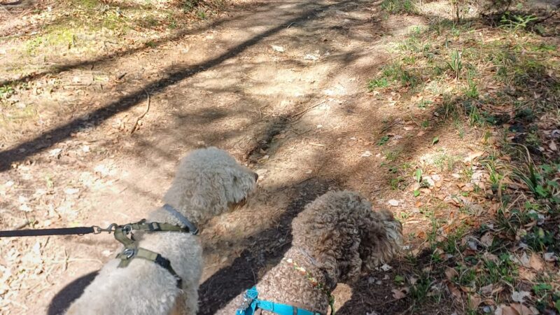 IMG-20250420-WA0004